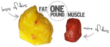 fat-vs-muscle-5719b712c0afbdfb040bc4e5